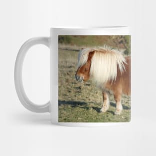 Dartmoor Pony Mug